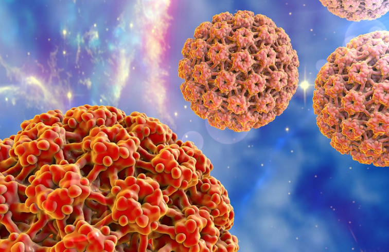 Virus človeškega papiloma
