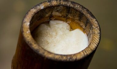 olje čajevca za zdravljenje bradavic